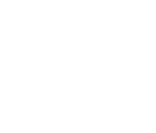 شركة برسونا ١٧